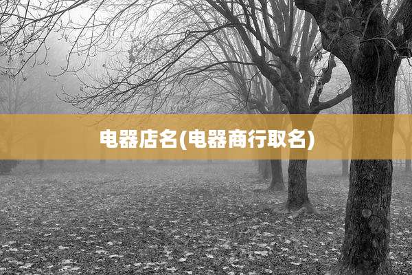 电器店名(电器商行取名)
