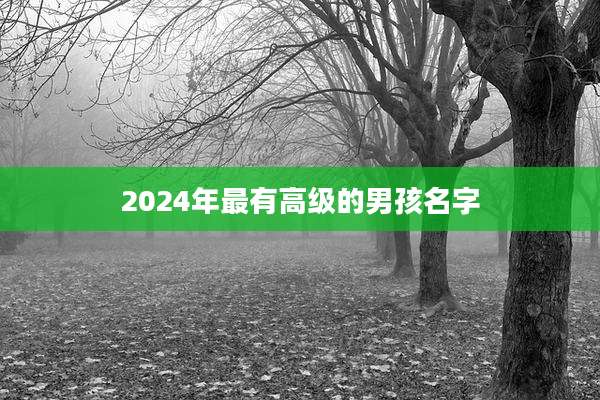2024年最有高级的男孩名字