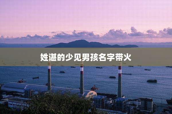 姓谌的少见男孩名字带火
