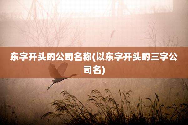 东字开头的公司名称(以东字开头的三字公司名)
