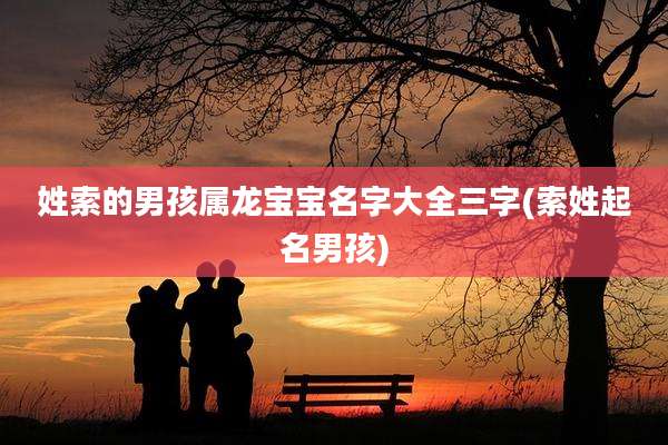 姓索的男孩属龙宝宝名字大全三字(索姓起名男孩)
