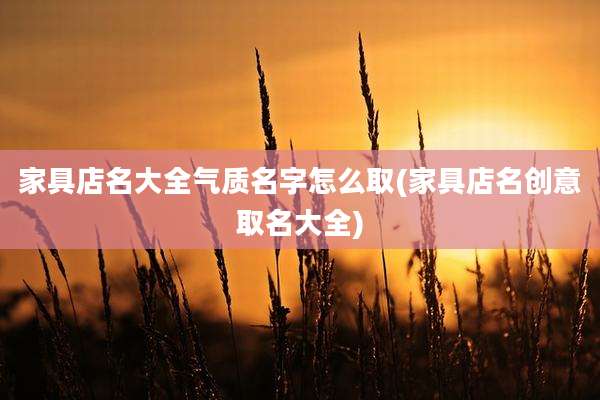 家具店名大全气质名字怎么取(家具店名创意取名大全)