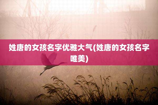 姓唐的女孩名字优雅大气(姓唐的女孩名字唯美)