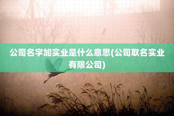 公司名字加实业是什么意思(公司取名实业有限公司)