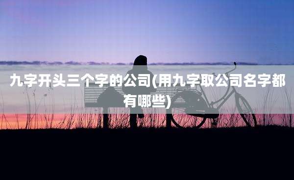 九字开头三个字的公司(用九字取公司名字都有哪些)