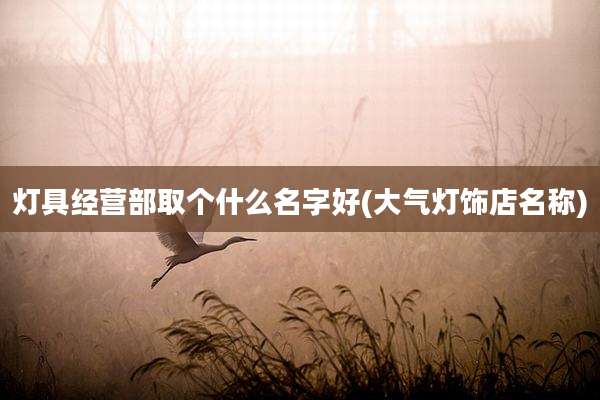 灯具经营部取个什么名字好(大气灯饰店名称)