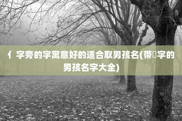 亻字旁的字寓意好的适合取男孩名(带淏字的男孩名字大全)