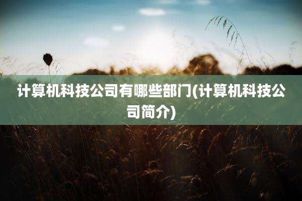 计算机科技公司有哪些部门(计算机科技公司简介)