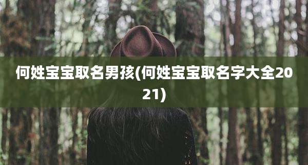 何姓宝宝取名男孩(何姓宝宝取名字大全2021)