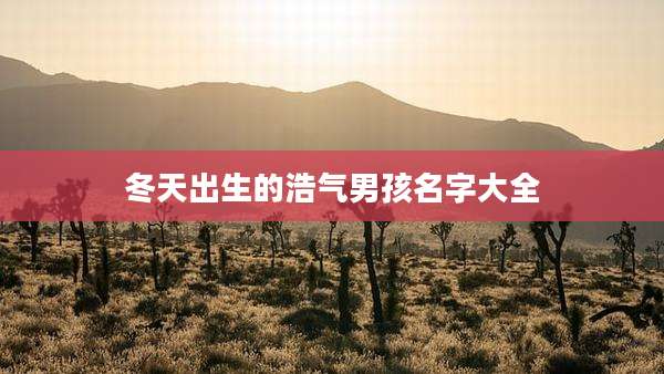 冬天出生的浩气男孩名字大全