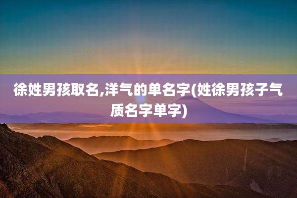 徐姓男孩取名,洋气的单名字(姓徐男孩子气质名字单字)
