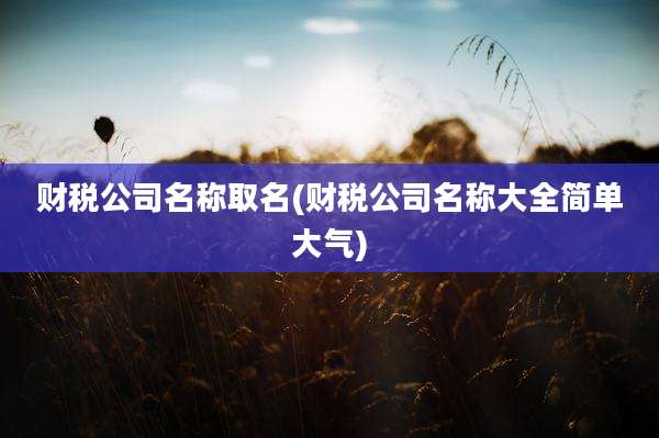 财税公司名称取名(财税公司名称大全简单大气)