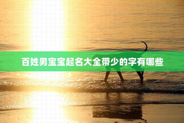 百姓男宝宝起名大全带少的字有哪些