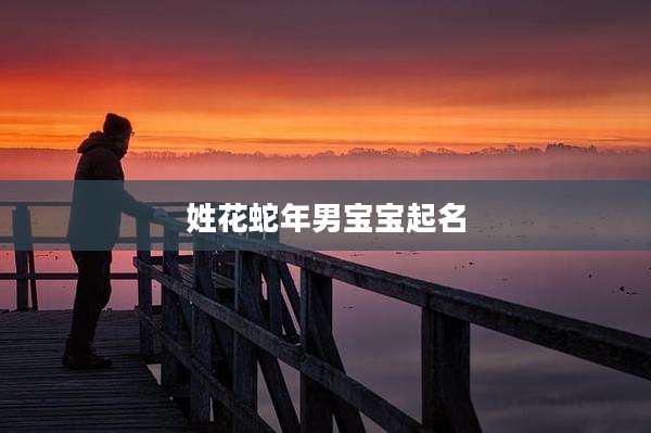 姓花蛇年男宝宝起名