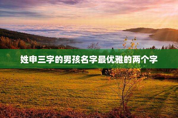 姓申三字的男孩名字最优雅的两个字