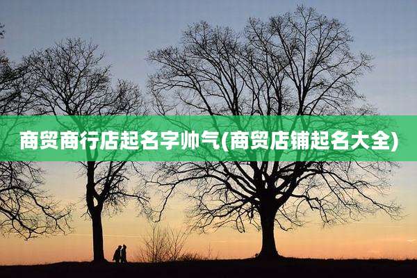 商贸商行店起名字帅气(商贸店铺起名大全)