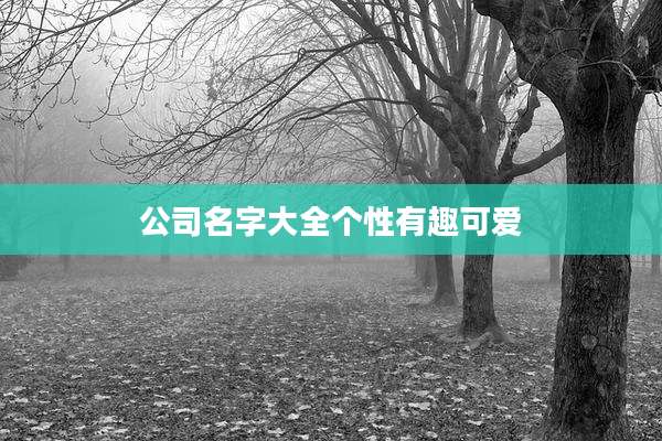 公司名字大全个性有趣可爱