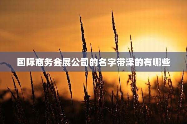 国际商务会展公司的名字带泽的有哪些