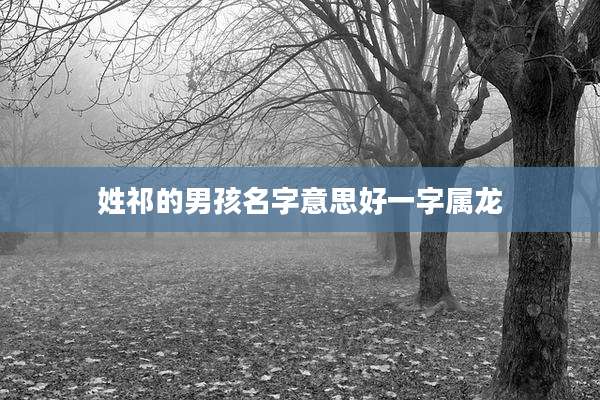 姓祁的男孩名字意思好一字属龙