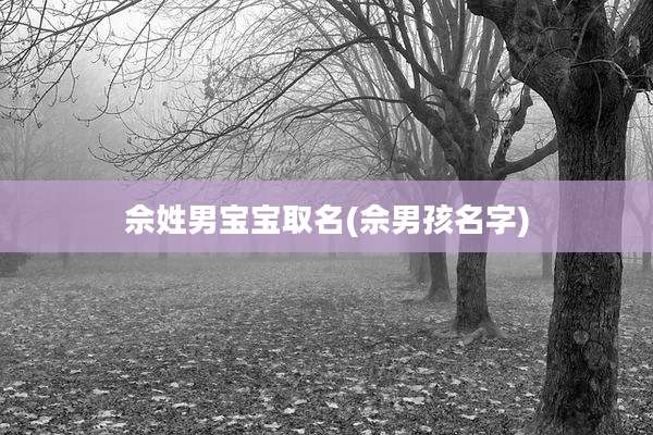 佘姓男宝宝取名(佘男孩名字)