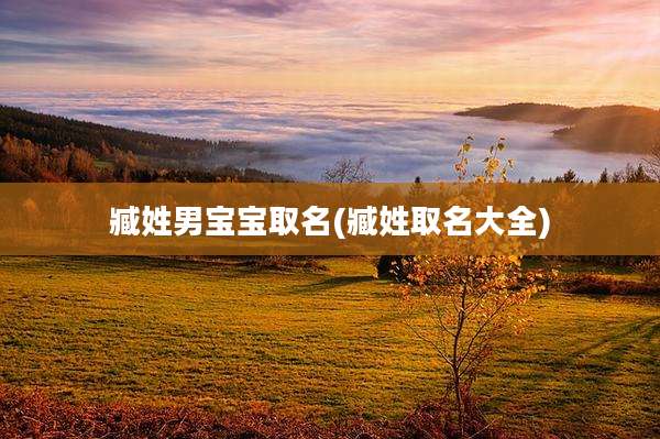 臧姓男宝宝取名(臧姓取名大全)