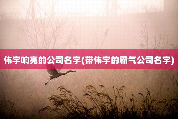 伟字响亮的公司名字(带伟字的霸气公司名字)