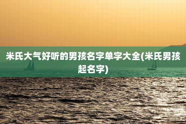 米氏大气好听的男孩名字单字大全(米氏男孩起名字)