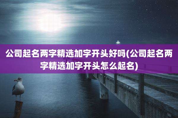 公司起名两字精选加字开头好吗(公司起名两字精选加字开头怎么起名)