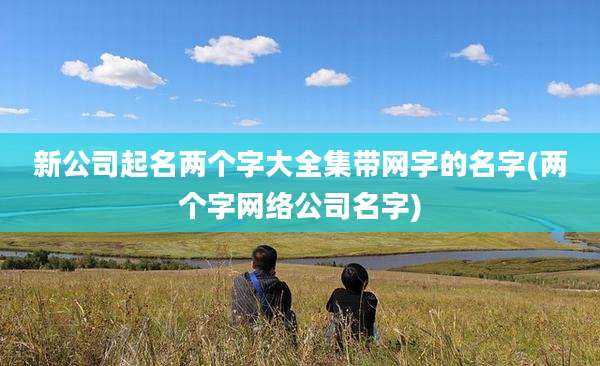新公司起名两个字大全集带网字的名字(两个字网络公司名字)