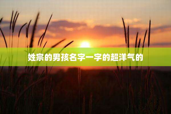 姓宗的男孩名字一字的超洋气的