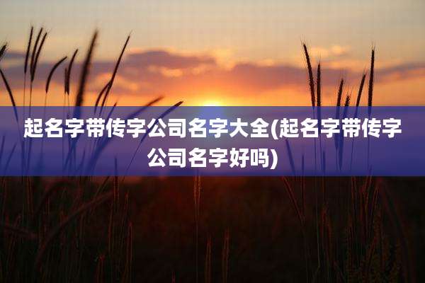 起名字带传字公司名字大全(起名字带传字公司名字好吗)