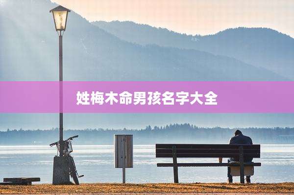 姓梅木命男孩名字大全