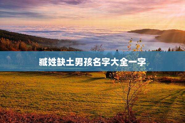 臧姓缺土男孩名字大全一字