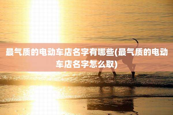 最气质的电动车店名字有哪些(最气质的电动车店名字怎么取)