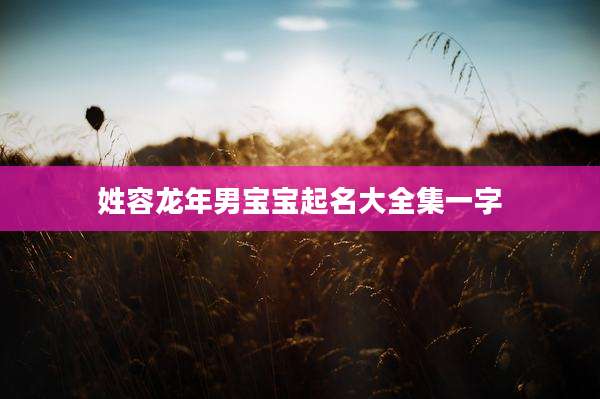 姓容龙年男宝宝起名大全集一字