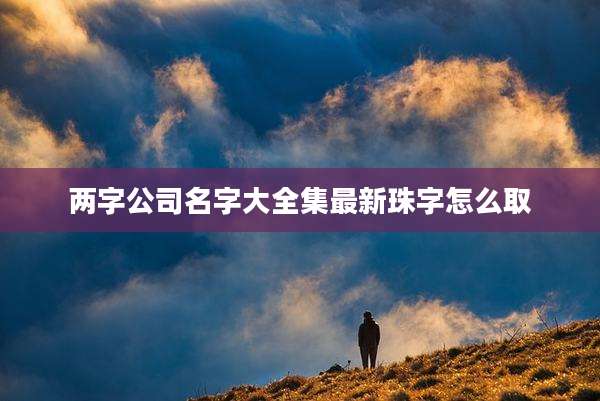 两字公司名字大全集最新珠字怎么取