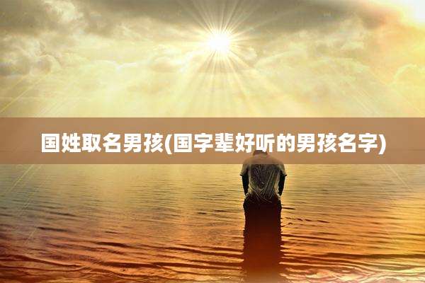 国姓取名男孩(国字辈好听的男孩名字)