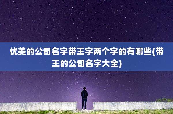 优美的公司名字带王字两个字的有哪些(带王的公司名字大全)