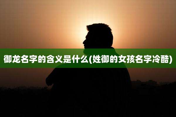 御龙名字的含义是什么(姓御的女孩名字冷酷)