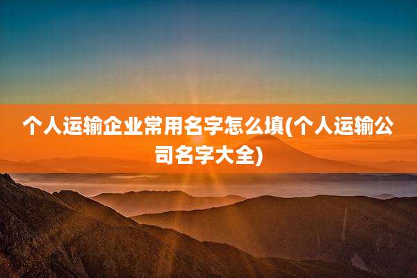 个人运输企业常用名字怎么填(个人运输公司名字大全)