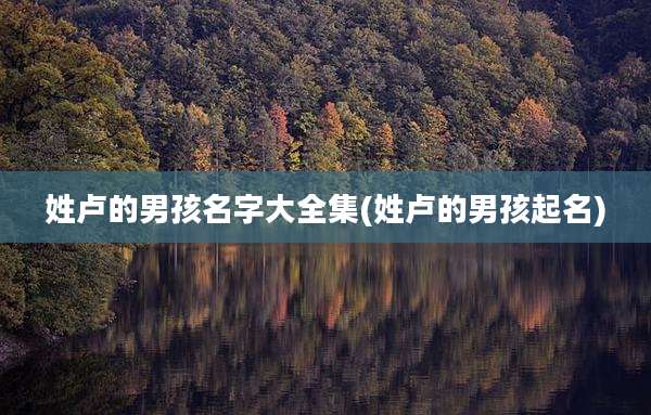 姓卢的男孩名字大全集(姓卢的男孩起名)