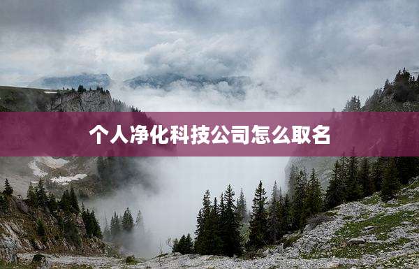个人净化科技公司怎么取名