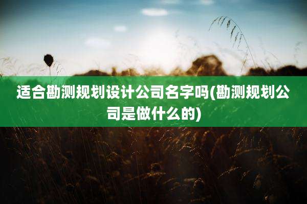 适合勘测规划设计公司名字吗(勘测规划公司是做什么的)