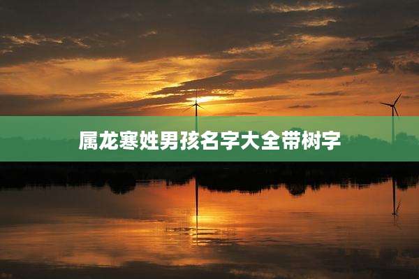 属龙寒姓男孩名字大全带树字