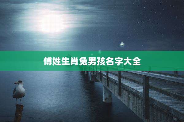 傅姓生肖兔男孩名字大全
