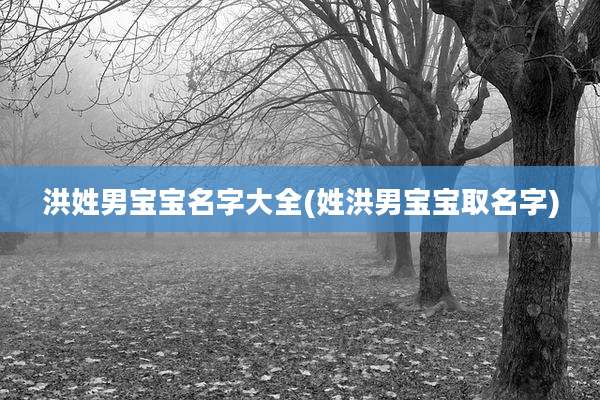 洪姓男宝宝名字大全(姓洪男宝宝取名字)