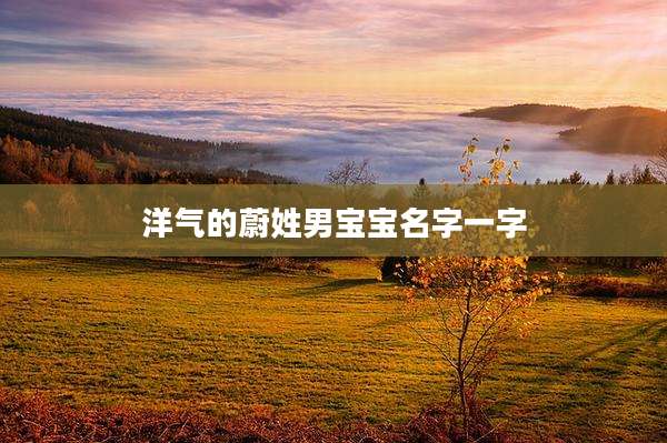 洋气的蔚姓男宝宝名字一字