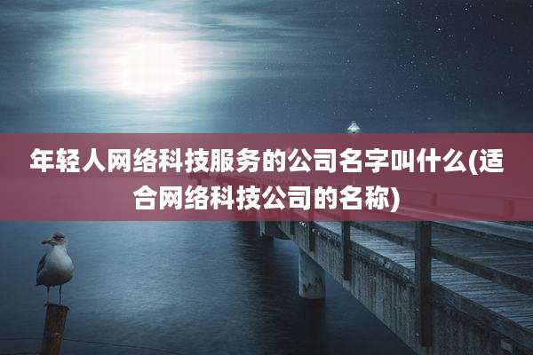 年轻人网络科技服务的公司名字叫什么(适合网络科技公司的名称)