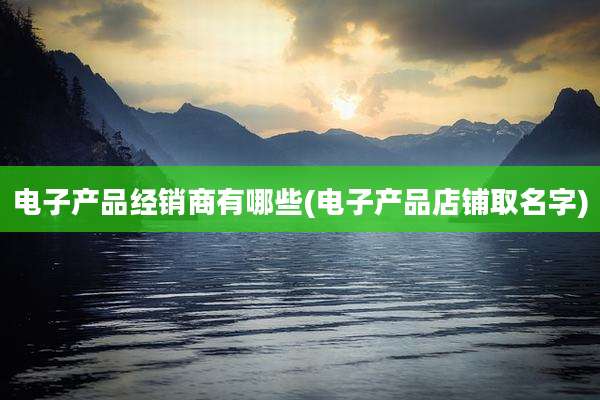 电子产品经销商有哪些(电子产品店铺取名字)