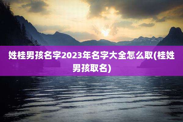 姓桂男孩名字2023年名字大全怎么取(桂姓男孩取名)